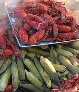 lobster-256x300 lobster-