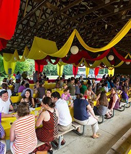 weekday-day-256x300 weekday-day-