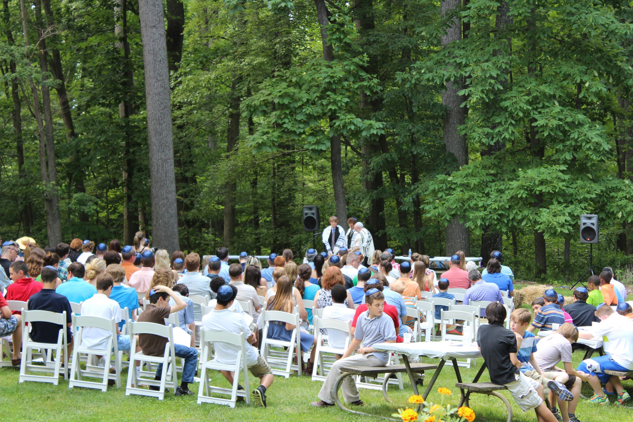 bar mitzvah in the grove